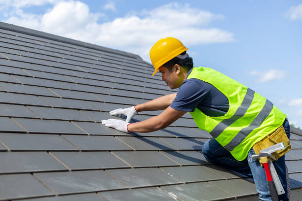 Best Metal Roofing Contractor  in Mapleton, IA