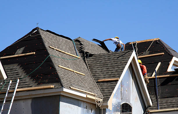 Best Roof Waterproofing Services  in Mapleton, IA